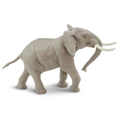 SAF295629 - Elefant african (mascul)